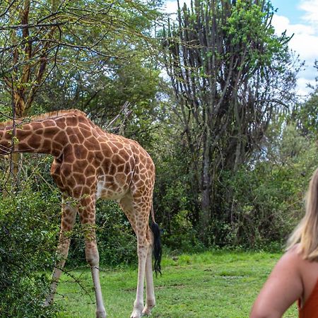 Mbweha Camp Lake Nakuru Elmenteita Kültér fotó