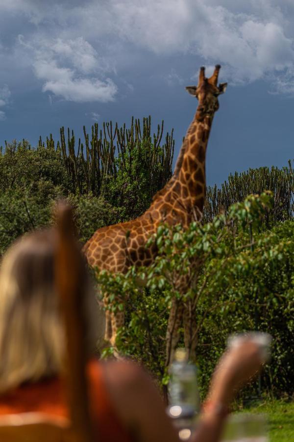 Mbweha Camp Lake Nakuru Elmenteita Kültér fotó