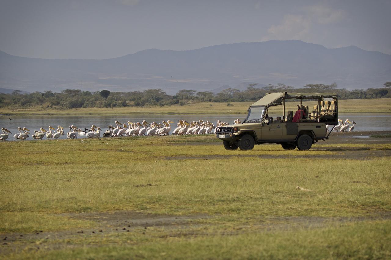 Mbweha Camp Lake Nakuru Elmenteita Kültér fotó