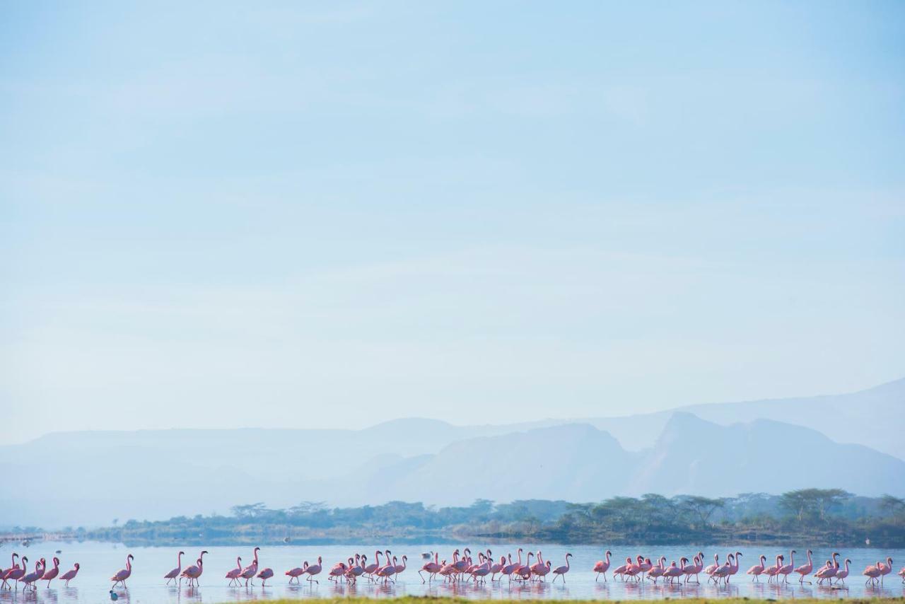 Mbweha Camp Lake Nakuru Elmenteita Kültér fotó